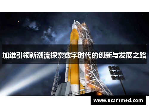 加维引领新潮流探索数字时代的创新与发展之路