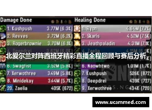 北爱尔兰对阵西班牙精彩直播全程回顾与赛后分析