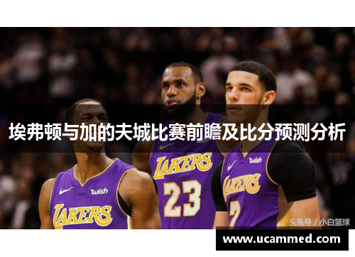 埃弗顿与加的夫城比赛前瞻及比分预测分析