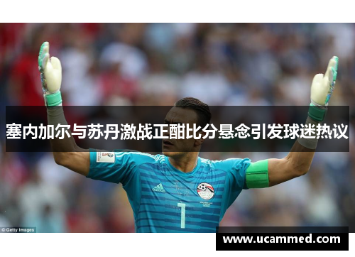 塞内加尔与苏丹激战正酣比分悬念引发球迷热议