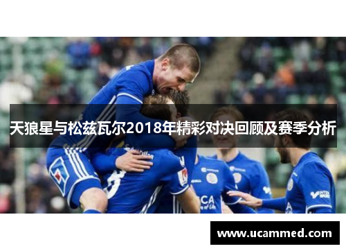 天狼星与松兹瓦尔2018年精彩对决回顾及赛季分析