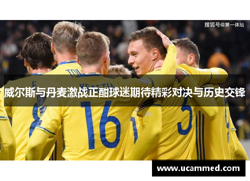 威尔斯与丹麦激战正酣球迷期待精彩对决与历史交锋