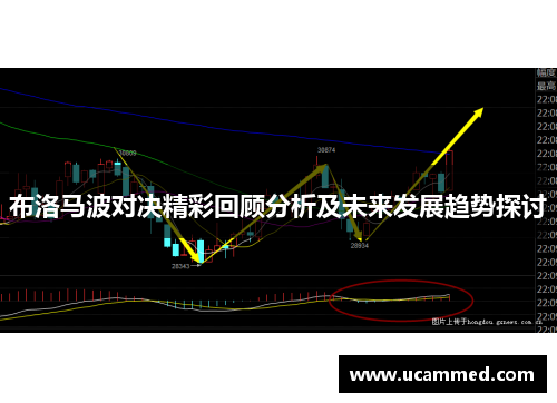 布洛马波对决精彩回顾分析及未来发展趋势探讨